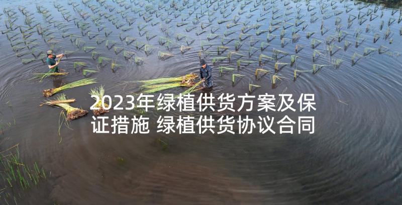 2023年绿植供货方案及保证措施 绿植供货协议合同共(大全5篇)