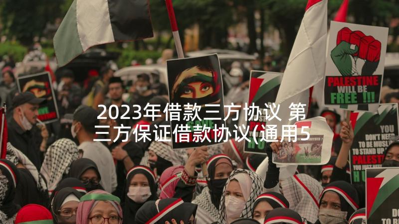 2023年借款三方协议 第三方保证借款协议(通用5篇)