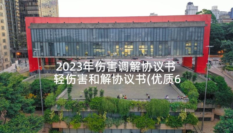 2023年伤害调解协议书 轻伤害和解协议书(优质6篇)