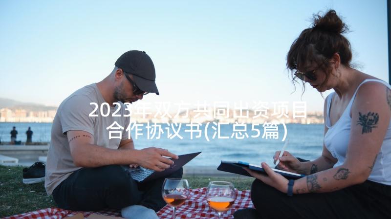 2023年双方共同出资项目合作协议书(汇总5篇)