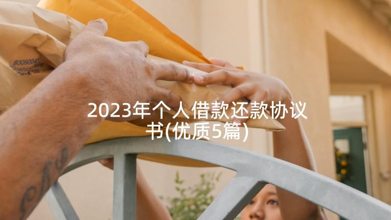 2023年个人借款还款协议书(优质5篇)