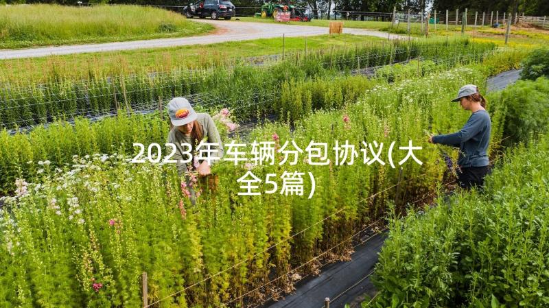 2023年车辆分包协议(大全5篇)