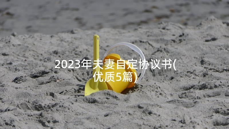 2023年夫妻自定协议书(优质5篇)