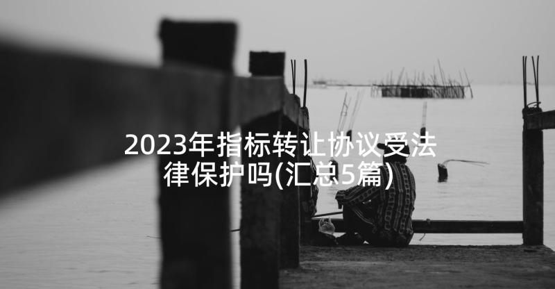 2023年指标转让协议受法律保护吗(汇总5篇)