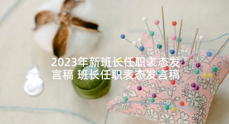 2023年新班长任职表态发言稿 班长任职表态发言稿(大全5篇)