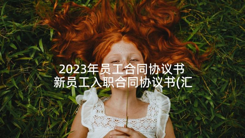 2023年员工合同协议书 新员工入职合同协议书(汇总7篇)