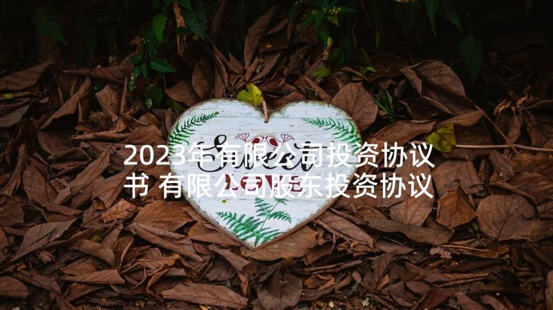 2023年有限公司投资协议书 有限公司股东投资协议书(模板5篇)