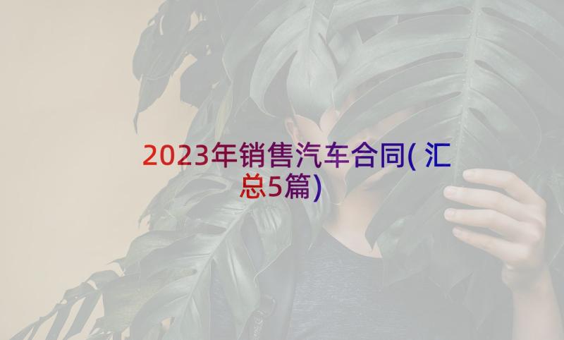 2023年销售汽车合同(汇总5篇)