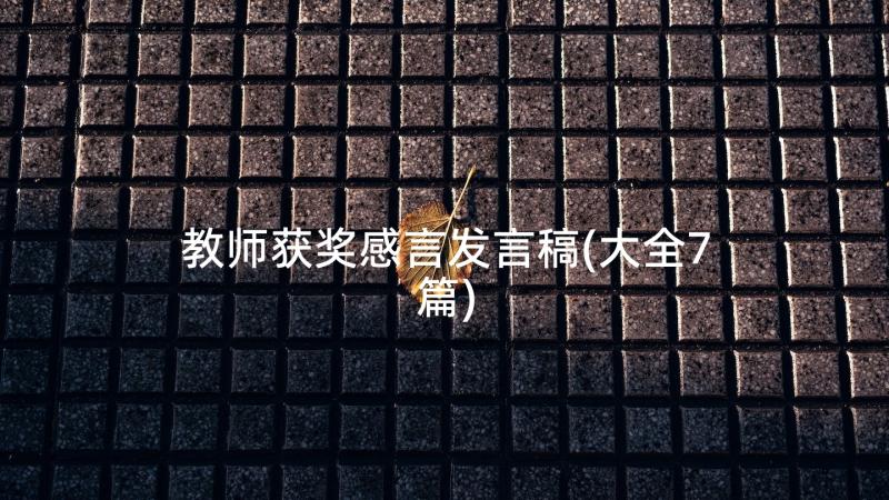 教师获奖感言发言稿(大全7篇)