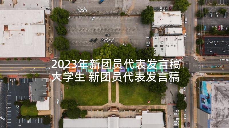 2023年新团员代表发言稿大学生 新团员代表发言稿(大全6篇)