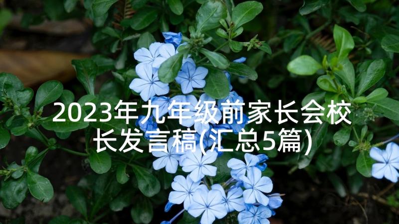 2023年九年级前家长会校长发言稿(汇总5篇)