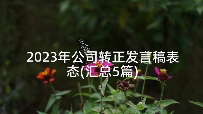 2023年公司转正发言稿表态(汇总5篇)