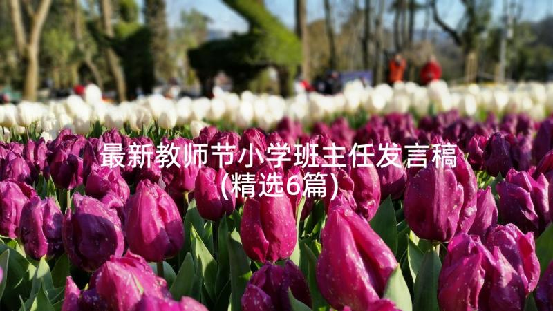 最新教师节小学班主任发言稿(精选6篇)