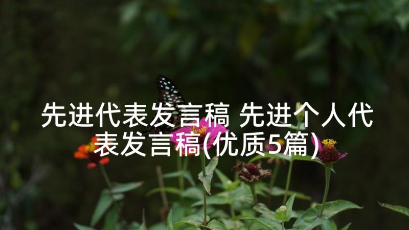 先进代表发言稿 先进个人代表发言稿(优质5篇)