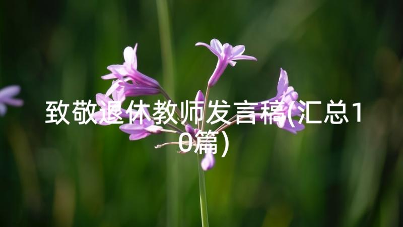 致敬退休教师发言稿(汇总10篇)