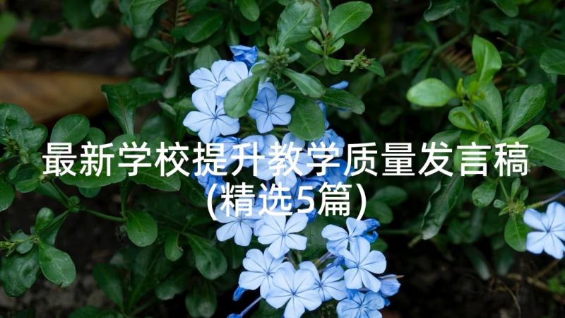 最新学校提升教学质量发言稿(精选5篇)