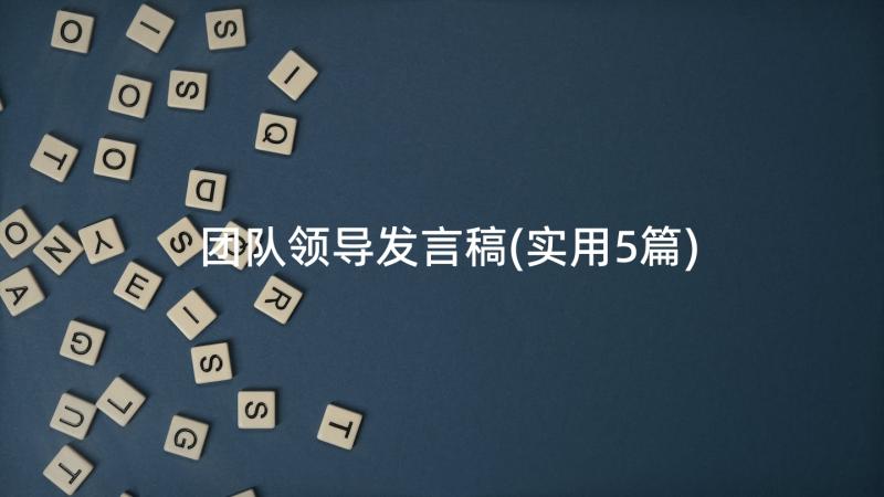 团队领导发言稿(实用5篇)