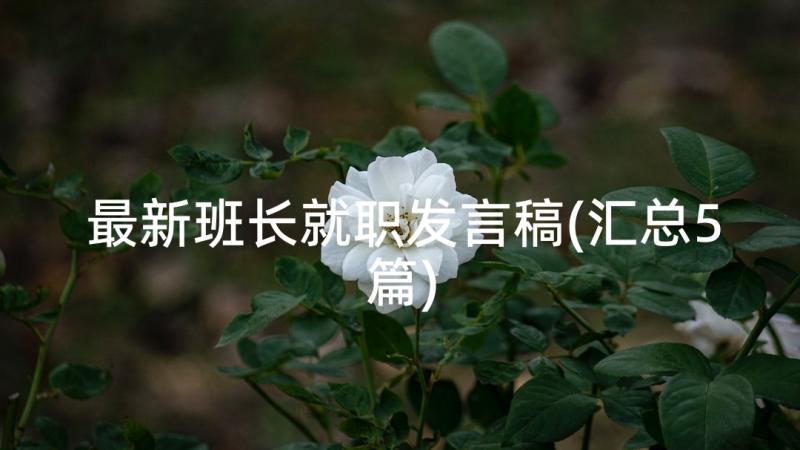 最新班长就职发言稿(汇总5篇)