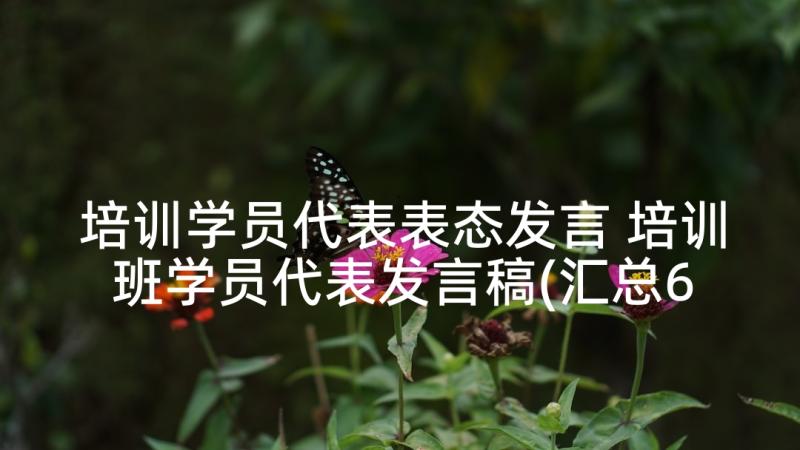 培训学员代表表态发言 培训班学员代表发言稿(汇总6篇)