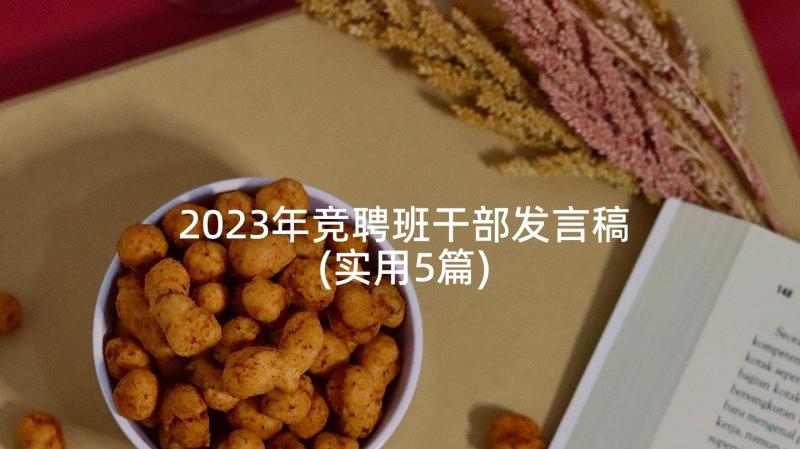 2023年竞聘班干部发言稿(实用5篇)