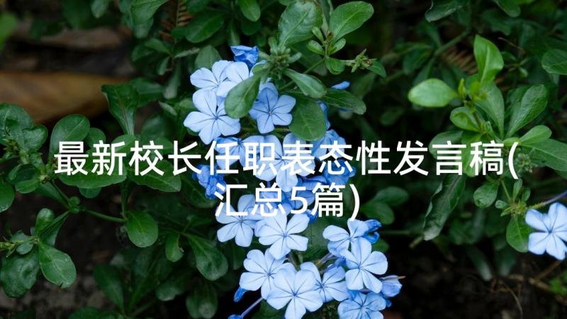 最新校长任职表态性发言稿(汇总5篇)