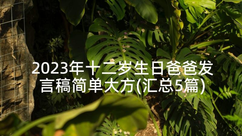 2023年十二岁生日爸爸发言稿简单大方(汇总5篇)