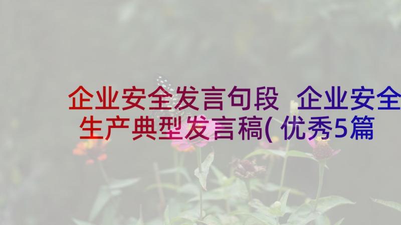 企业安全发言句段 企业安全生产典型发言稿(优秀5篇)