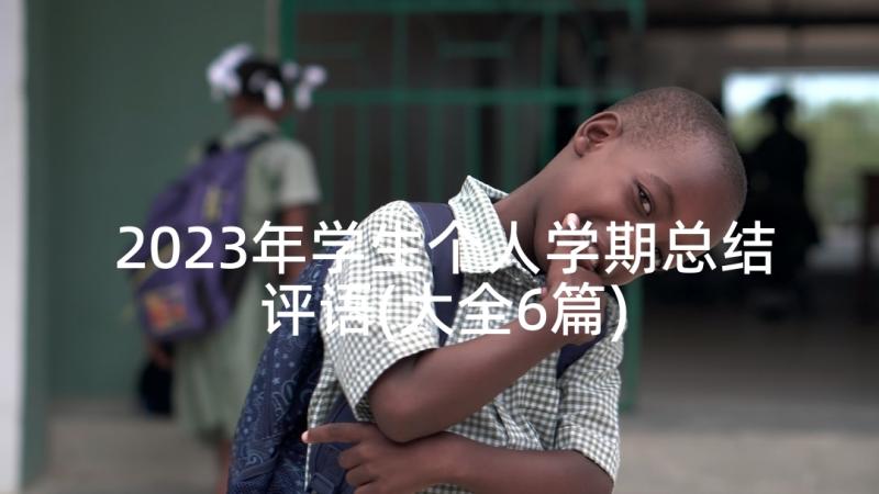 2023年学生个人学期总结评语(大全6篇)