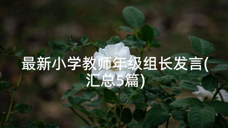 最新小学教师年级组长发言(汇总5篇)