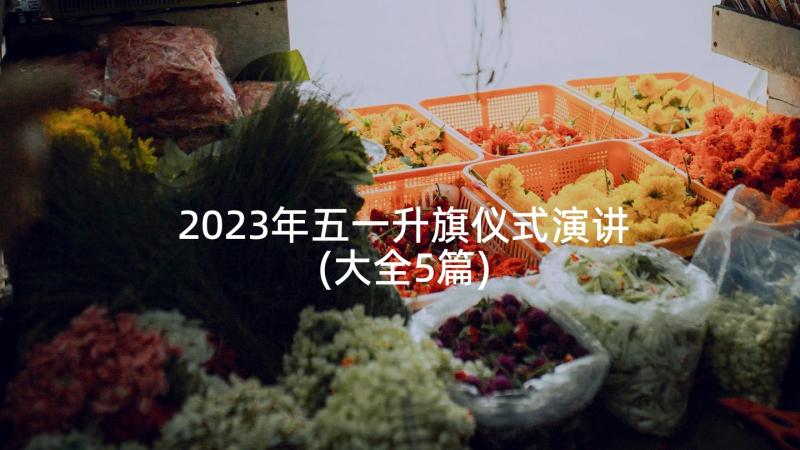 2023年五一升旗仪式演讲(大全5篇)