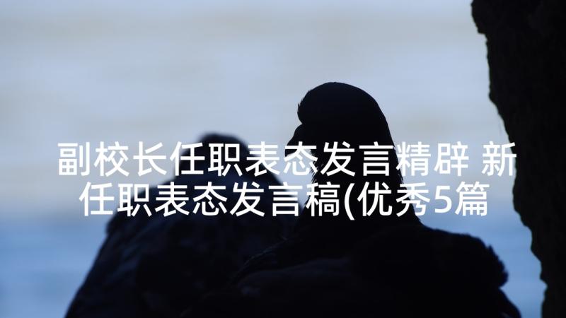 副校长任职表态发言精辟 新任职表态发言稿(优秀5篇)