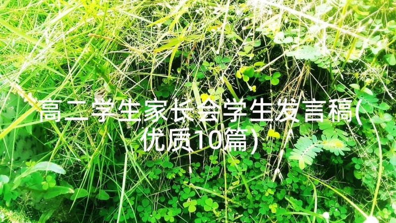 高二学生家长会学生发言稿(优质10篇)