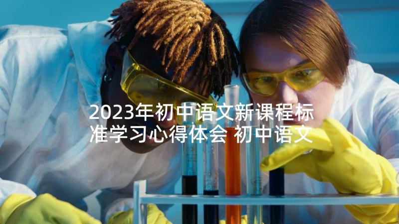 2023年初中语文新课程标准学习心得体会 初中语文新课程标准版解读(通用5篇)