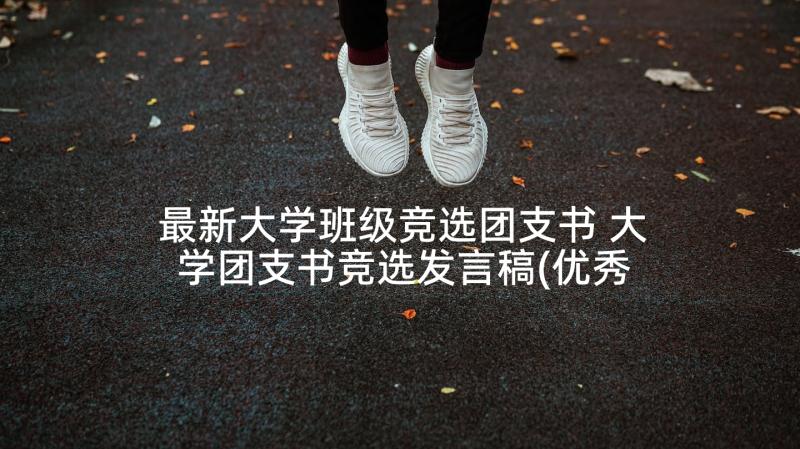 最新大学班级竞选团支书 大学团支书竞选发言稿(优秀5篇)