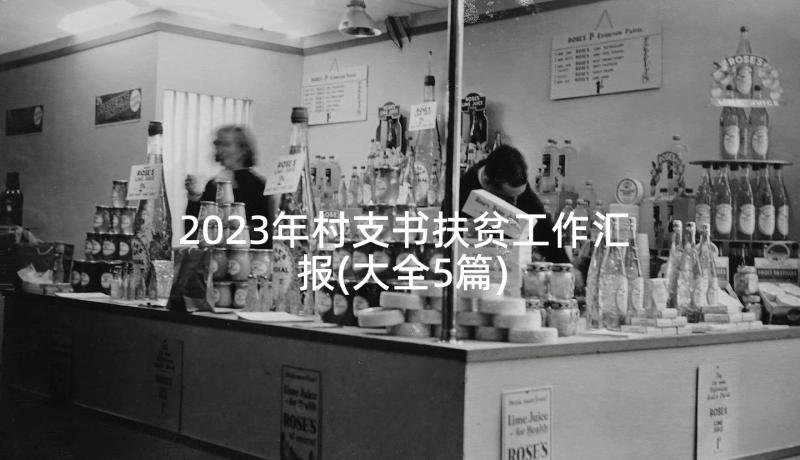 2023年村支书扶贫工作汇报(大全5篇)