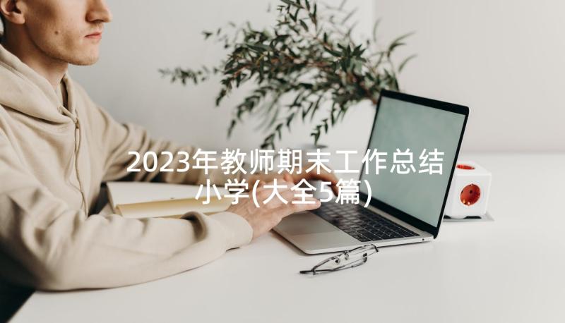 2023年教师期末工作总结小学(大全5篇)