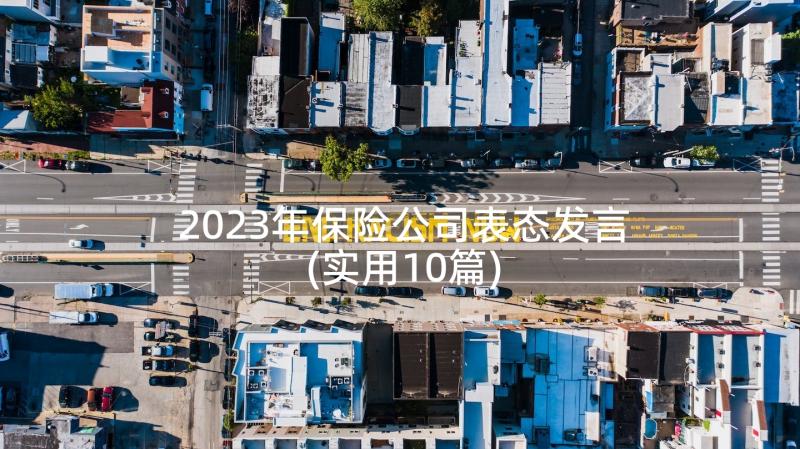 2023年保险公司表态发言(实用10篇)