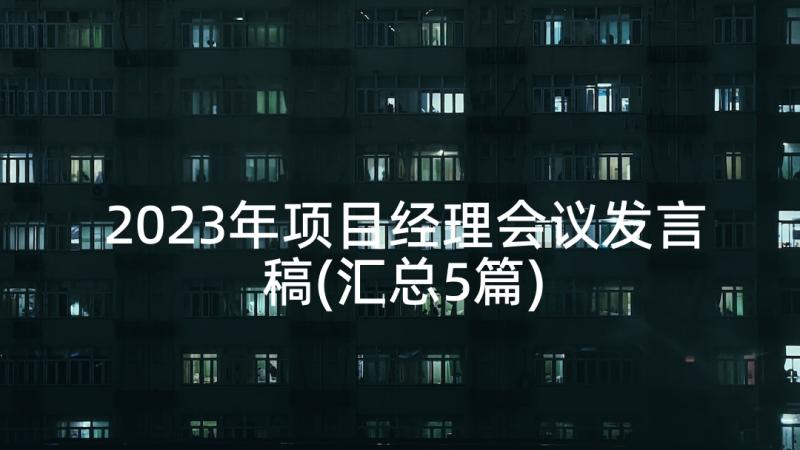 2023年项目经理会议发言稿(汇总5篇)