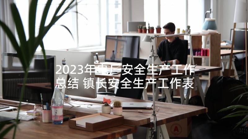 2023年电厂安全生产工作总结 镇长安全生产工作表态发言稿(通用5篇)