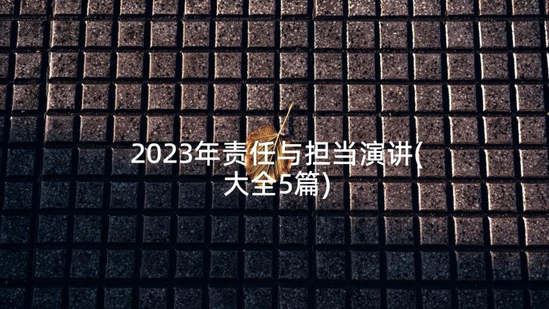 2023年责任与担当演讲(大全5篇)