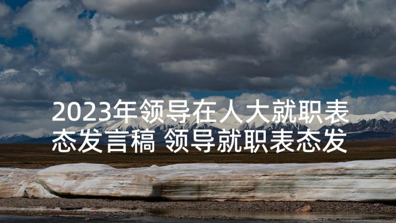 2023年领导在人大就职表态发言稿 领导就职表态发言稿(模板5篇)