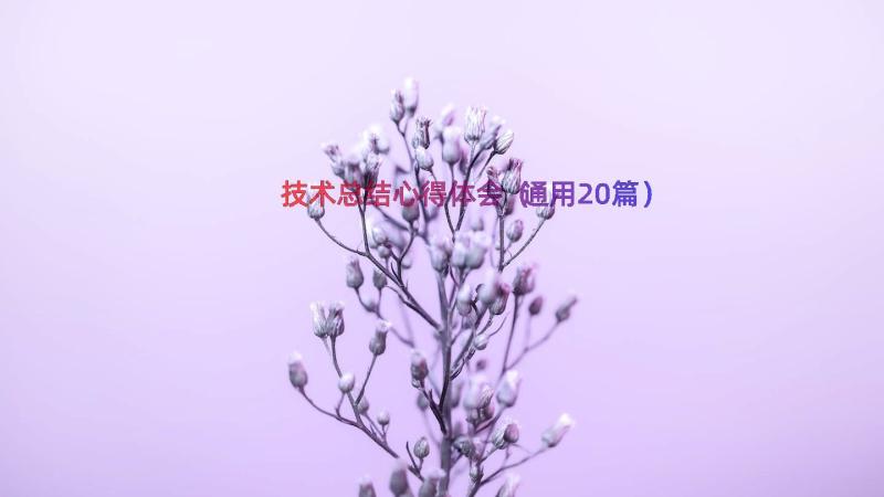 技术总结心得体会（通用20篇）