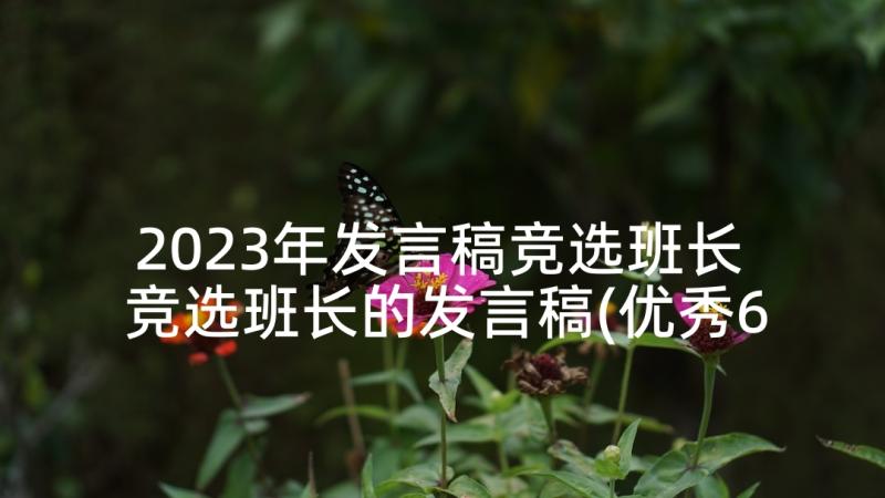 2023年发言稿竞选班长 竞选班长的发言稿(优秀6篇)