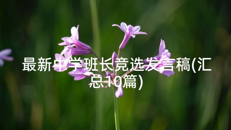 最新中学班长竞选发言稿(汇总10篇)