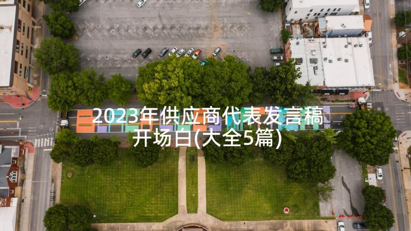 2023年供应商代表发言稿开场白(大全5篇)