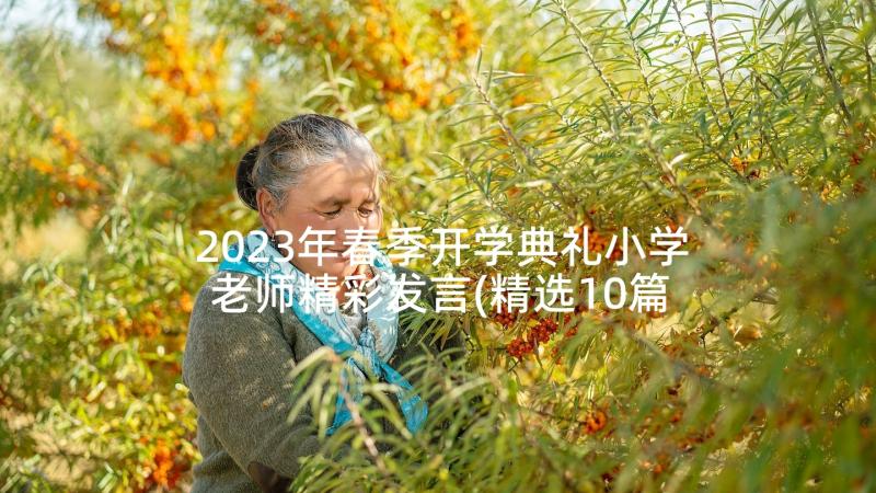 2023年春季开学典礼小学老师精彩发言(精选10篇)