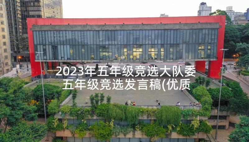 2023年五年级竞选大队委 五年级竞选发言稿(优质8篇)