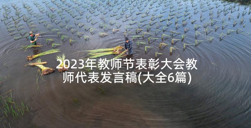 2023年教师节表彰大会教师代表发言稿(大全6篇)