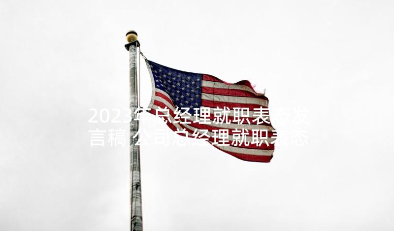 2023年总经理就职表态发言稿 公司总经理就职表态发言稿(通用10篇)