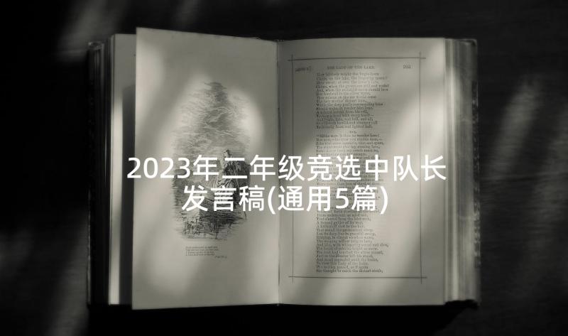 2023年二年级竞选中队长发言稿(通用5篇)